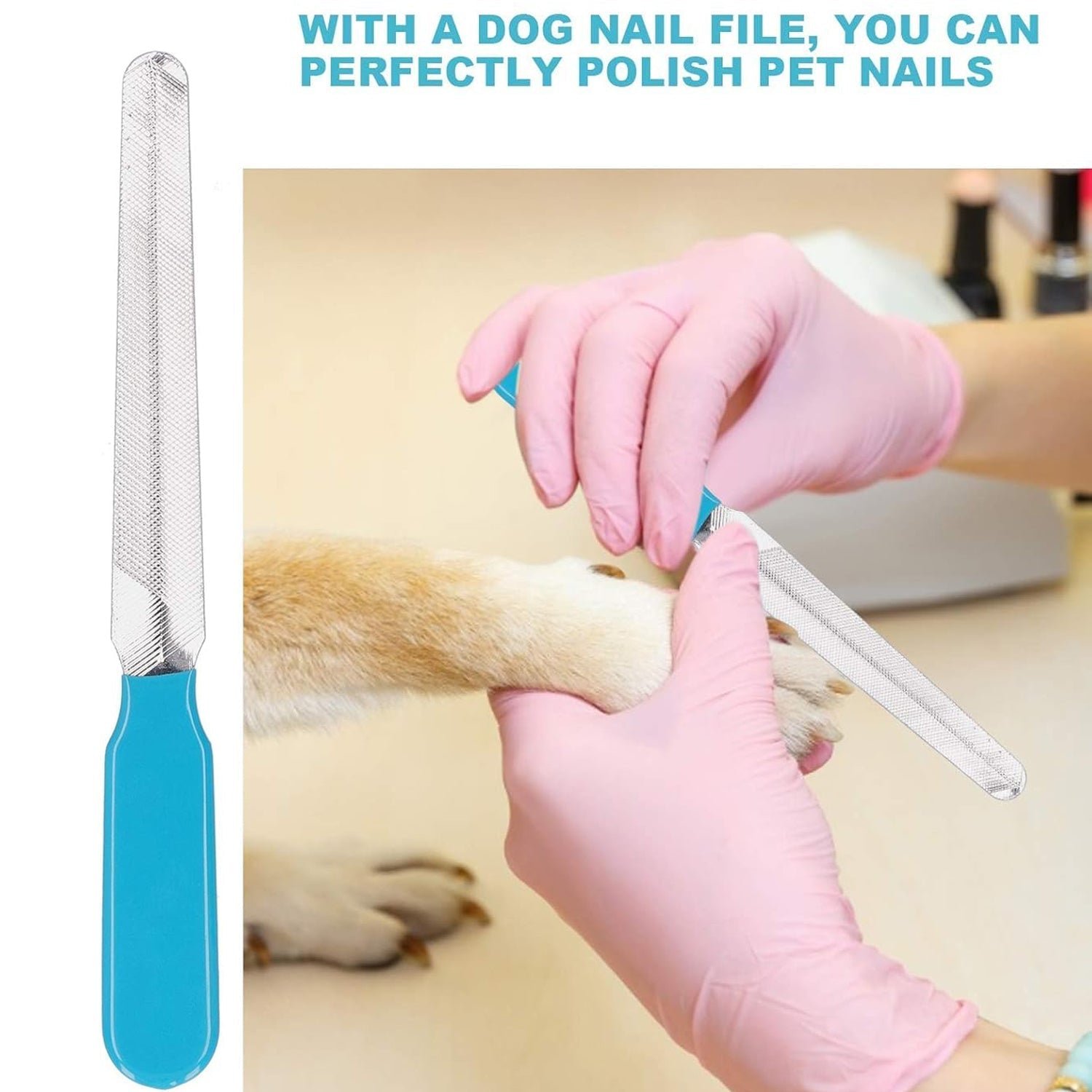 pet nail cutter 02 c8a29c28 a8ad 4877 b754 f64c369e3081.jpg