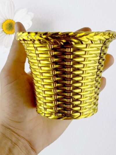 Valencia Plastic Flower Pot – Durable Indoor & Outdoor Planter