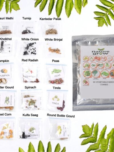Vegetable Seeds Combo – 15 Varieties for Home Gardening